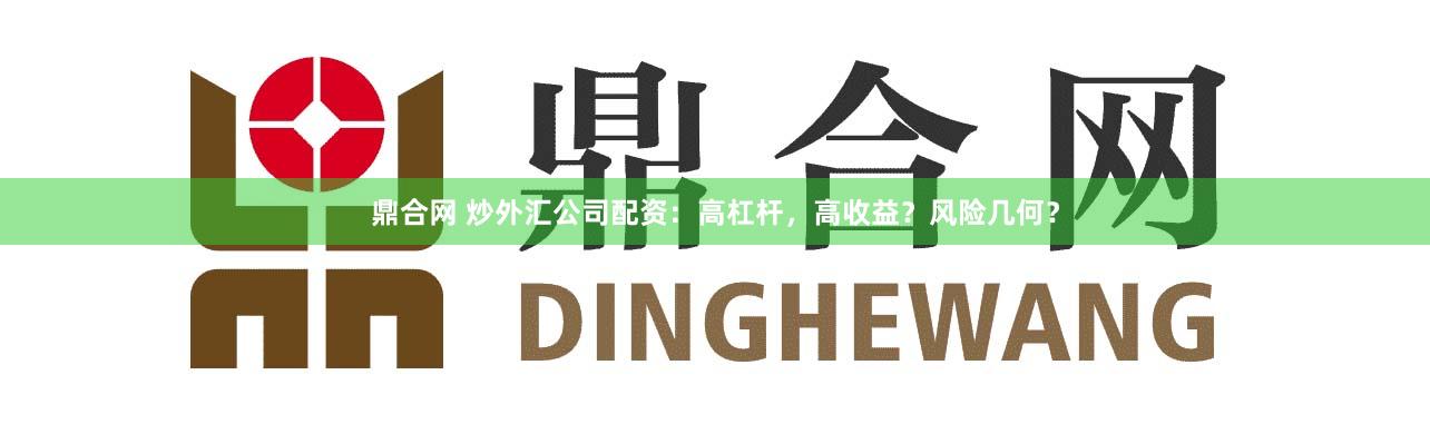 鼎合网 炒外汇公司配资：高杠杆，高收益？风险几何？