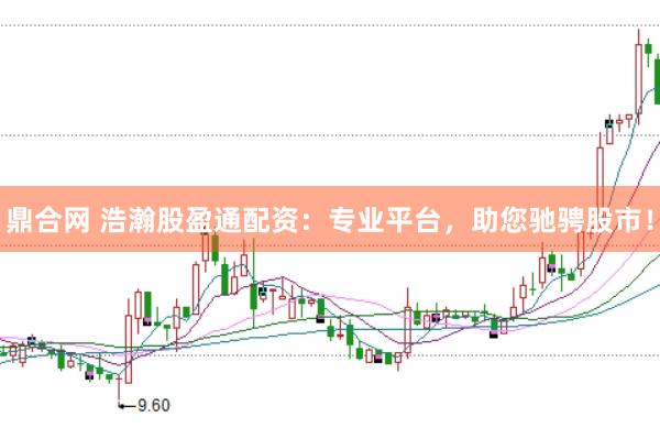 鼎合网 浩瀚股盈通配资：专业平台，助您驰骋股市！