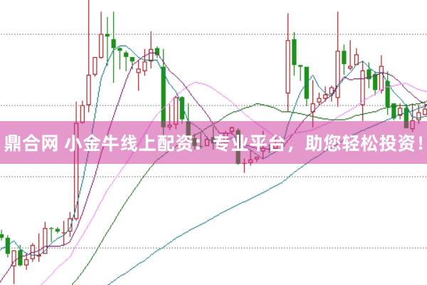 鼎合网 小金牛线上配资：专业平台，助您轻松投资！