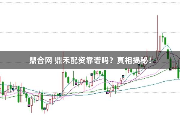 鼎合网 鼎禾配资靠谱吗？真相揭秘！