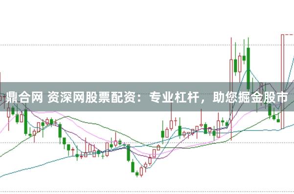 鼎合网 资深网股票配资：专业杠杆，助您掘金股市