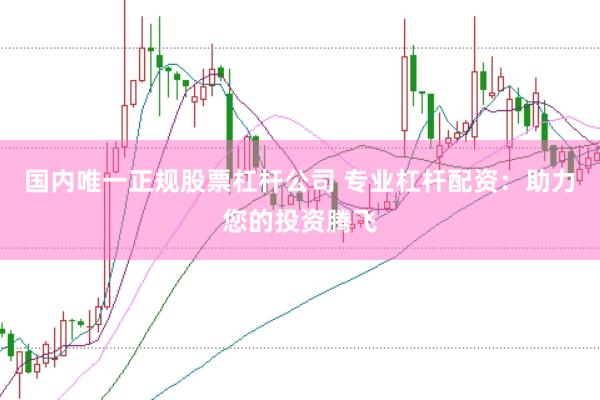 国内唯一正规股票杠杆公司 专业杠杆配资:助力您的投资腾飞