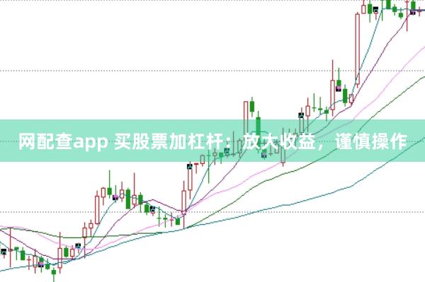 网配查app 买股票加杠杆：放大收益，谨慎操作