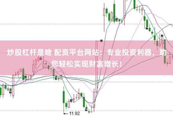 炒股杠杆是啥 配资平台网站：专业投资利器，助您轻松实现财富增长！