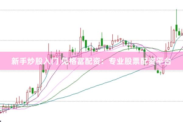 新手炒股入门 见格富配资：专业股票配资平台