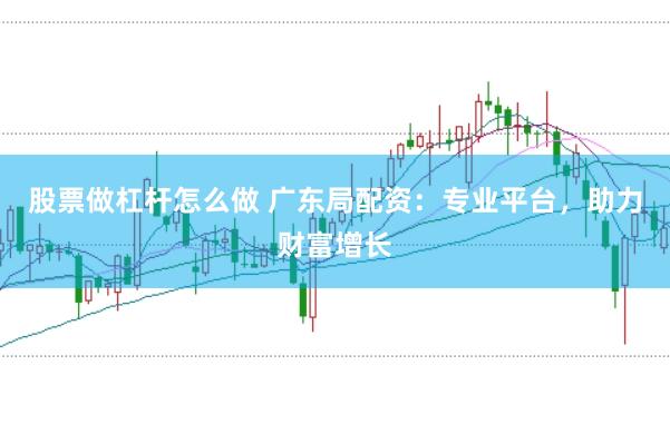 股票做杠杆怎么做 广东局配资：专业平台，助力财富增长