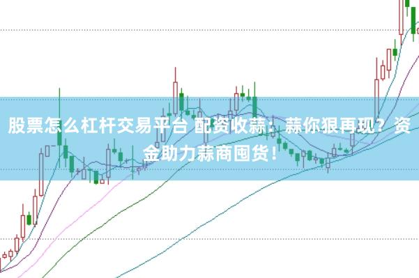 股票怎么杠杆交易平台 配资收蒜：蒜你狠再现？资金助力蒜商囤货！